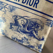 Dior化妝專櫃VIP貴賓積分兌換專用草編Tote Bag